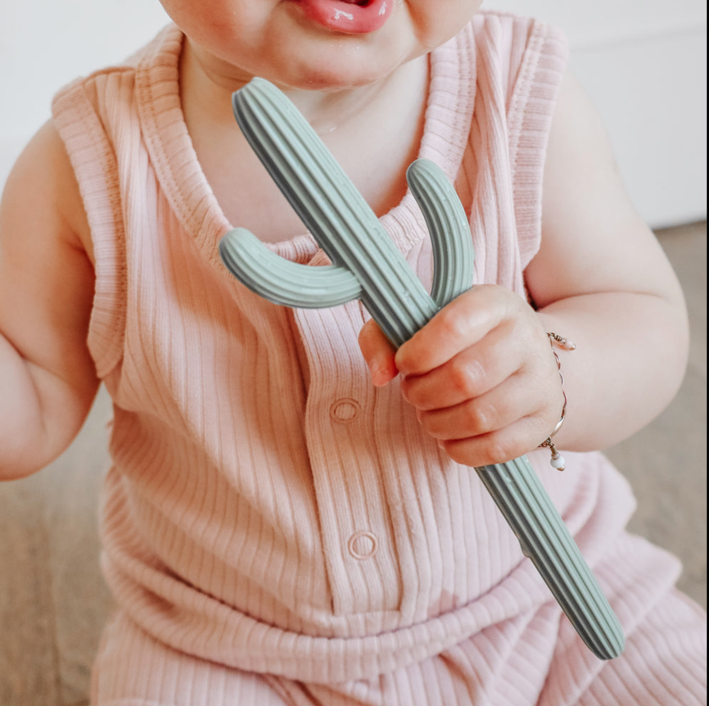 Cactus Teether 