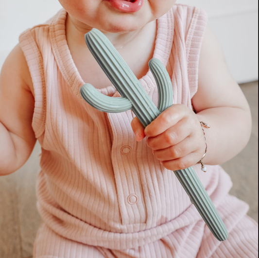 Cactus Teether 