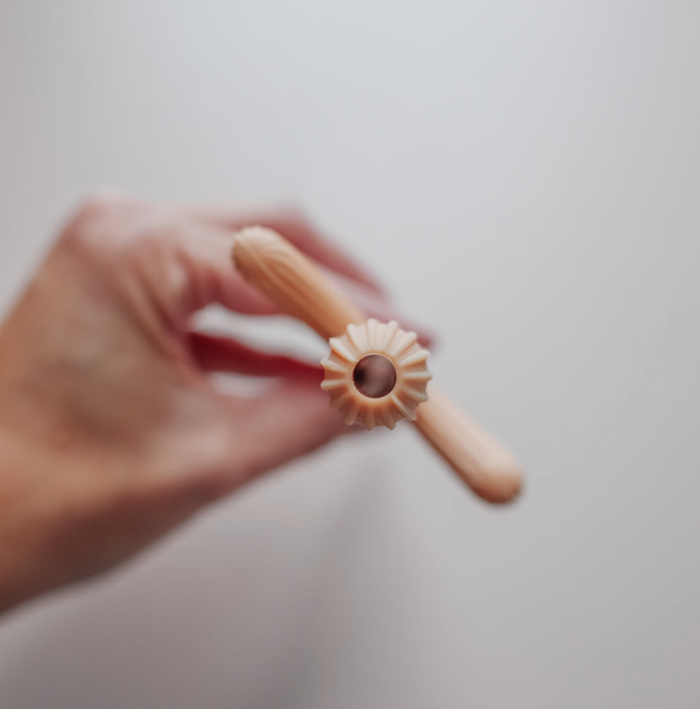 Cactus Teether 