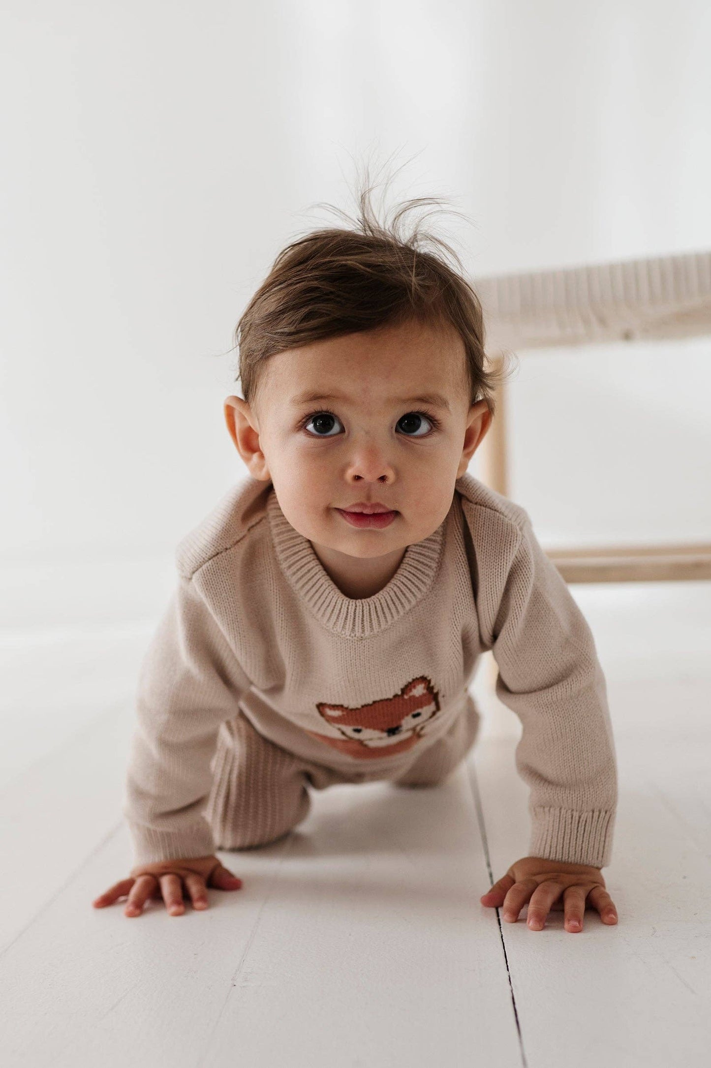 Fox Knit Sweater