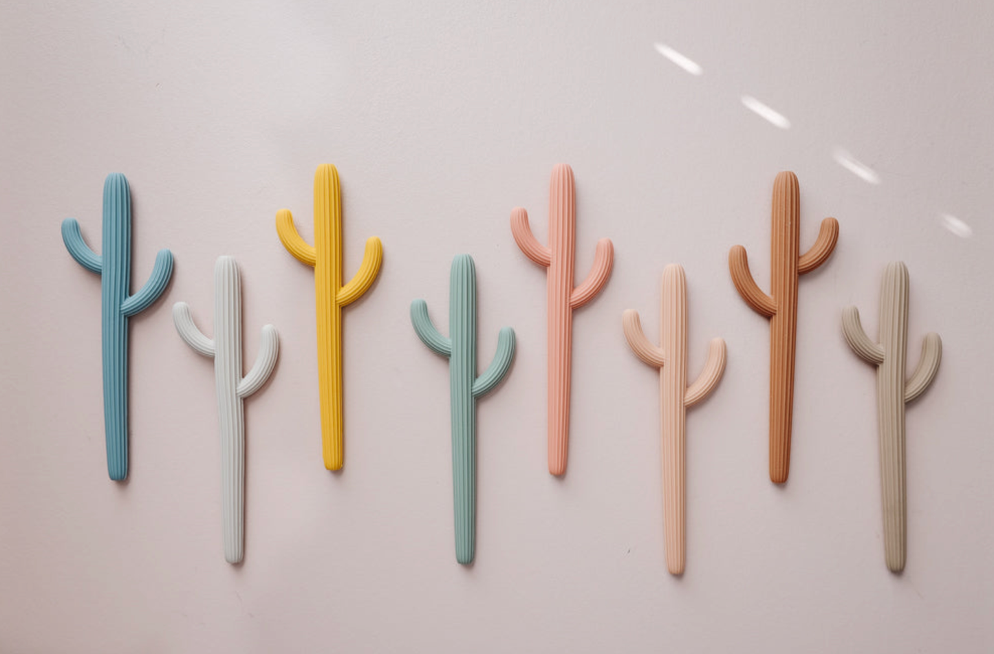 Cactus Teether 