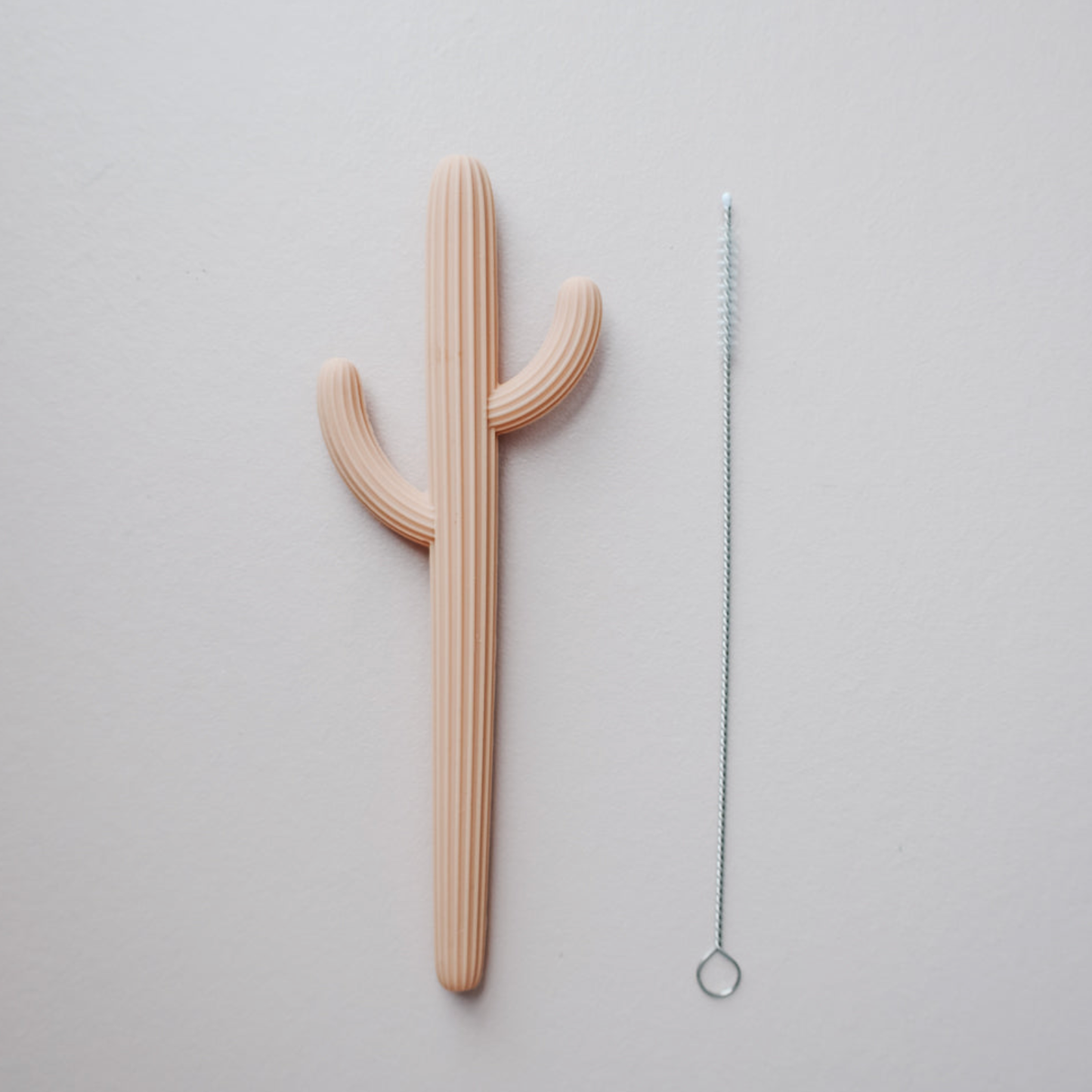 Cactus Teether 